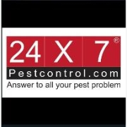 24 X 7 Pest Control (Gurgaon)